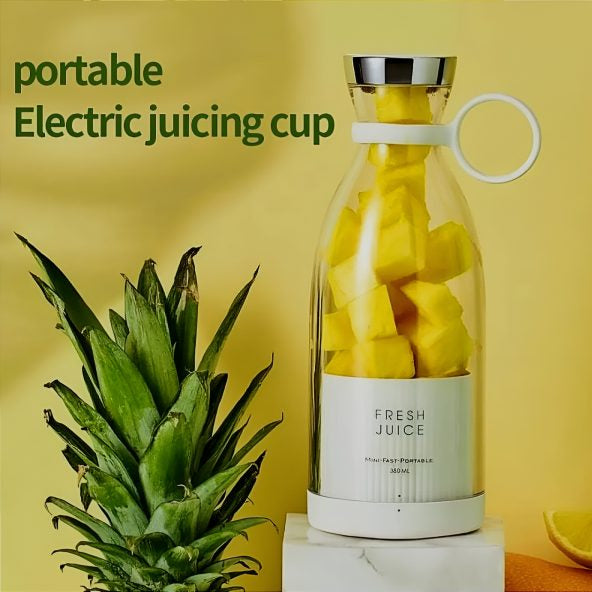 Mini Portable Blender Electric Fruit Juicer Mixer